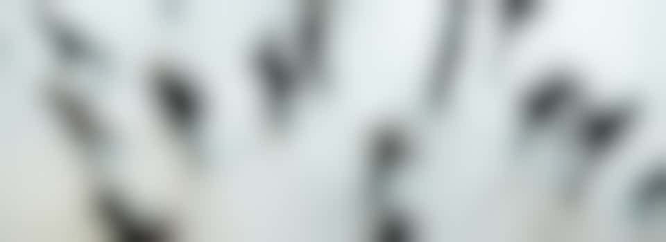 Eenzaamheid: signaleren, in gesprek gaan en verwijzen