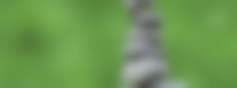 Workshop Omgaan met stress