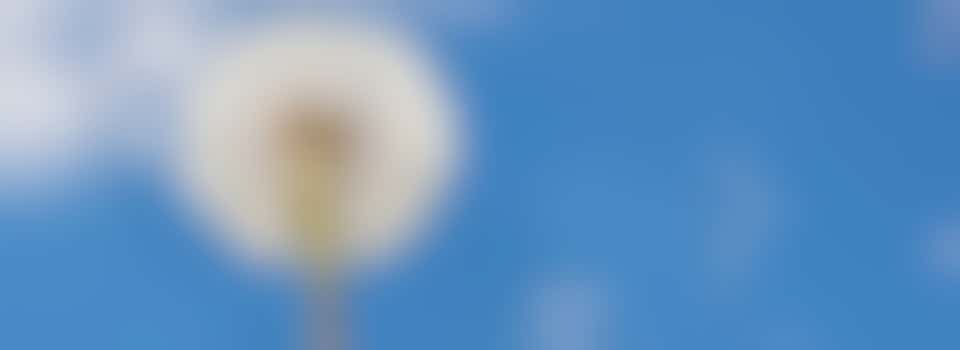 Training Omgaan met verlies (voor 18 jaar en ouder)