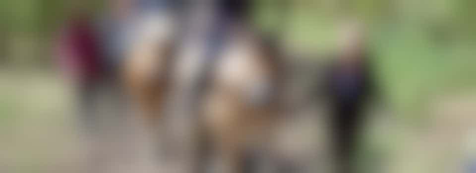 Begeleiden van paardrijles aan ruiters met een beperking