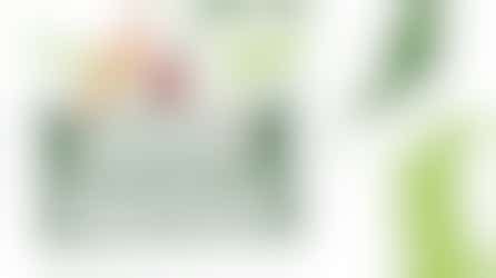 ICT volunteer needed