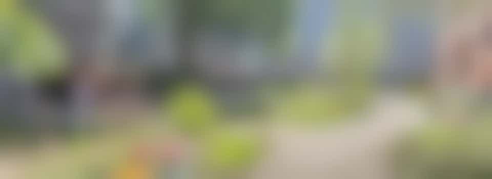 Locatie Tabitha: Ga je mee met een uitstapje?