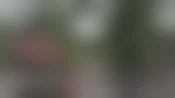 IT & Media and general computer work