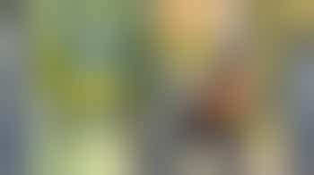 Wandelmaatje gezocht