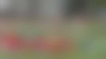 ⚜️Wil jij sturing geven aan een groep waar 'plezier en samen doen' voorop staat?