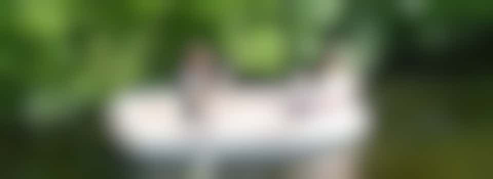 ⚜️Word jij bij 'Be Pals' ons algemeen bestuurslid?