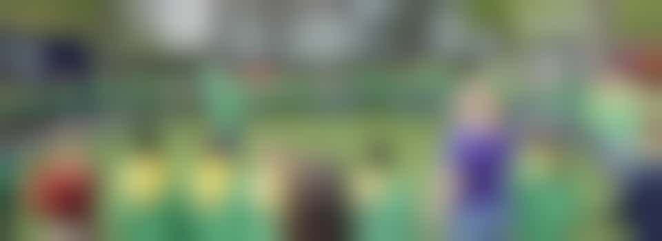 ⚜️ Denk jij ook: 'Brons, Zilver, Scout'? Dan zoeken we jou als leider/leidster!