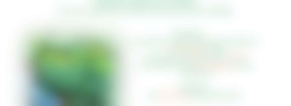 Gevraagd vrijwilliger voor onze moestuin