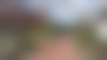 Community Garden Volunteer