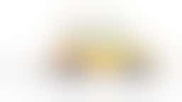 Chauffeur voor Begeleiden en Rijden