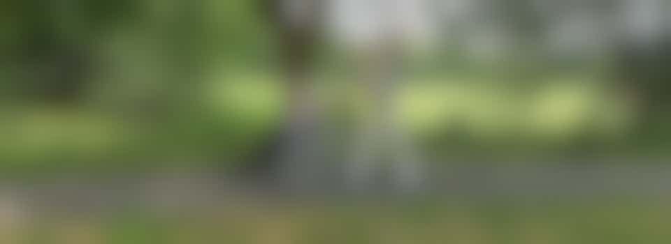 Maak de buurt schoon met ouderen van HWW De Eshoeve!