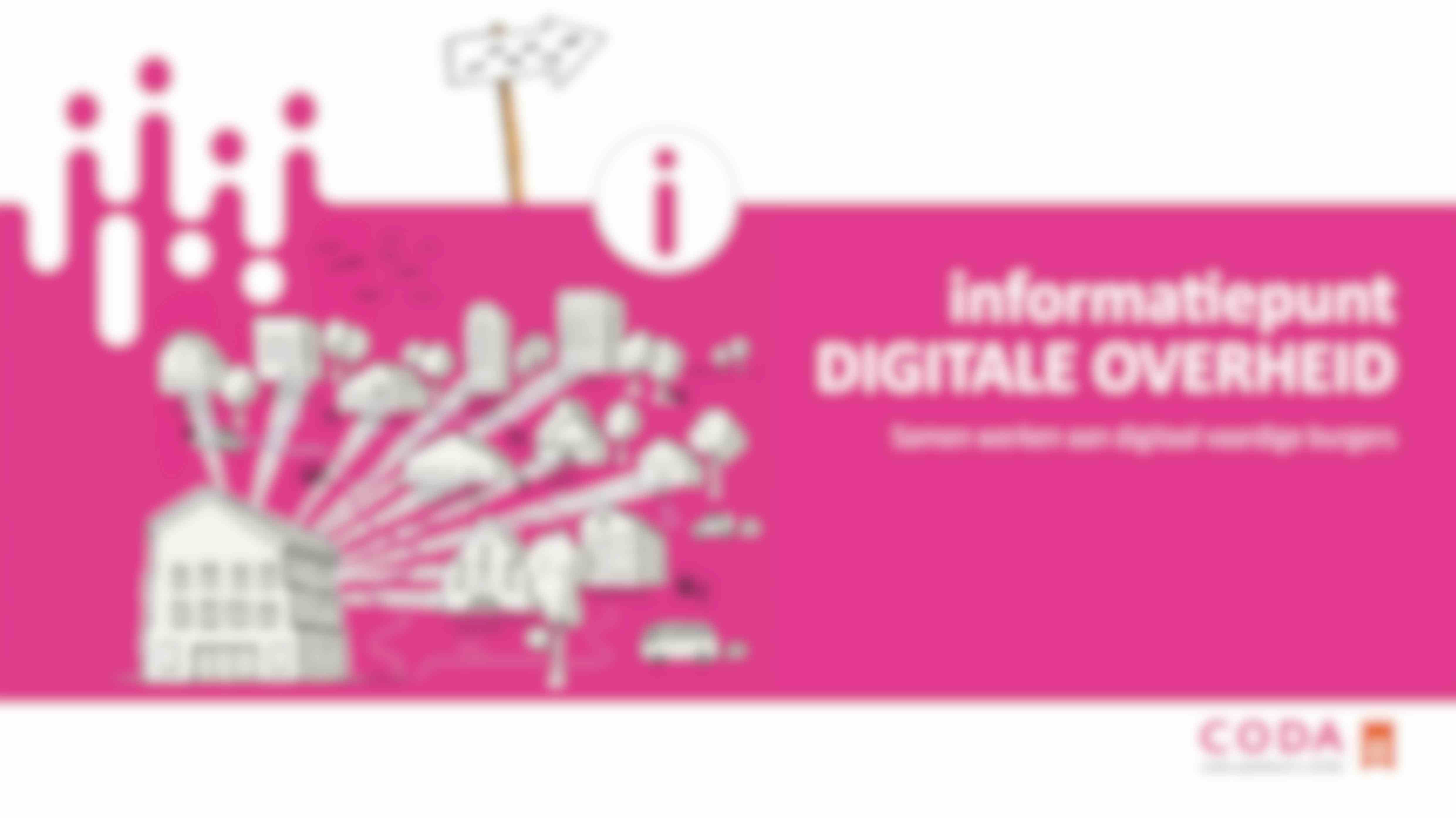 Vacancy volunteer Digital Government Information Point (IDO)
