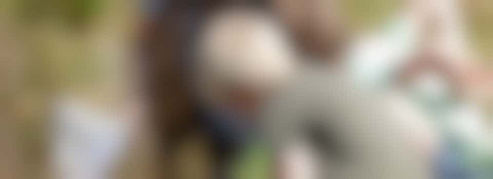 Information center 't Leesten is looking for educational volunteers