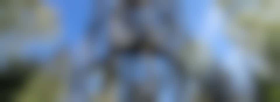 Chantal is looking for a buddy to do fun things with