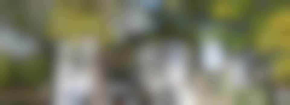 Employees of the De Herberg Drop-in Center (for Tuesday afternoons)