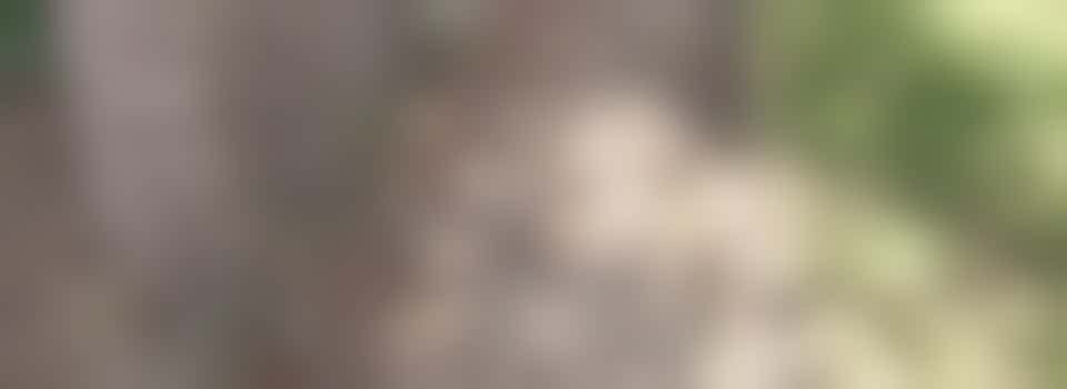 Straatstenen slijpen/zagen