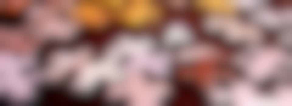 Wie houdt er van (leg)puzzelen?