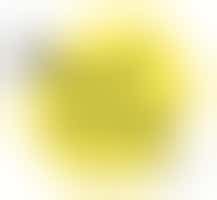 Vrijwilliger Buurtcirkel