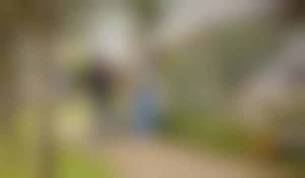 Looking for a fun buddy!