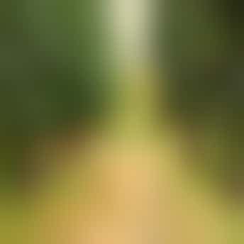 Natuurbehoud Den Haag Natuurbehoud Den Haag