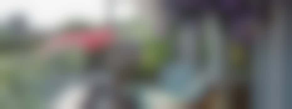 Locatie Moerwijk - Helpt u mee met de onderhoud van onze groenvoorzieningen?