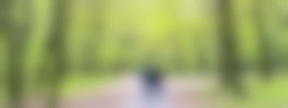 Wandelmaatje gezocht bij Saffier, locatie Nebo!