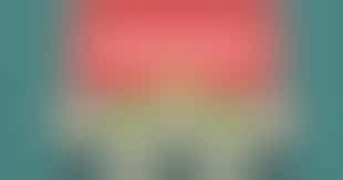 Training Crowdfunding (online)