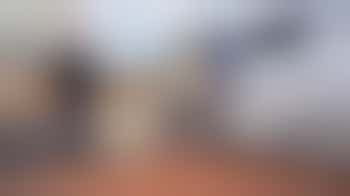 Dog, people and equipment driver