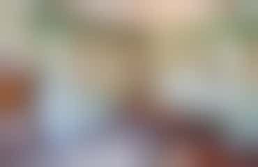 Rondleiding Huize Verwolde 1 = VOL