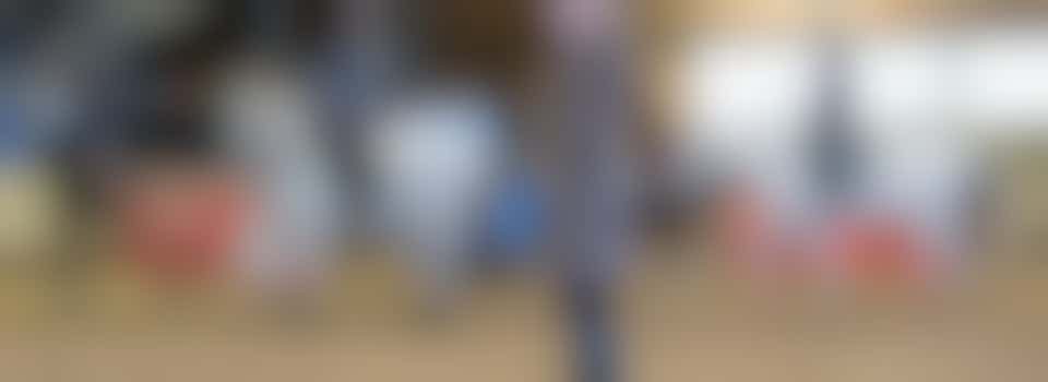 Paardrijden: Horsemanship