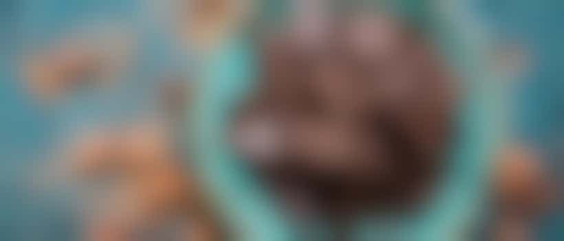 Chocolade workshop olv Wereldbakker Wijnand - Workshop 2 = VOL