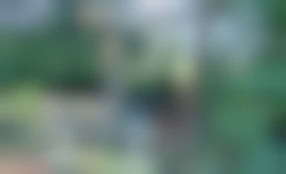 Excursie in de natuurtuin met IVN