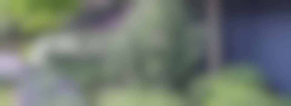 Bloemen arrangement 1 = VOL