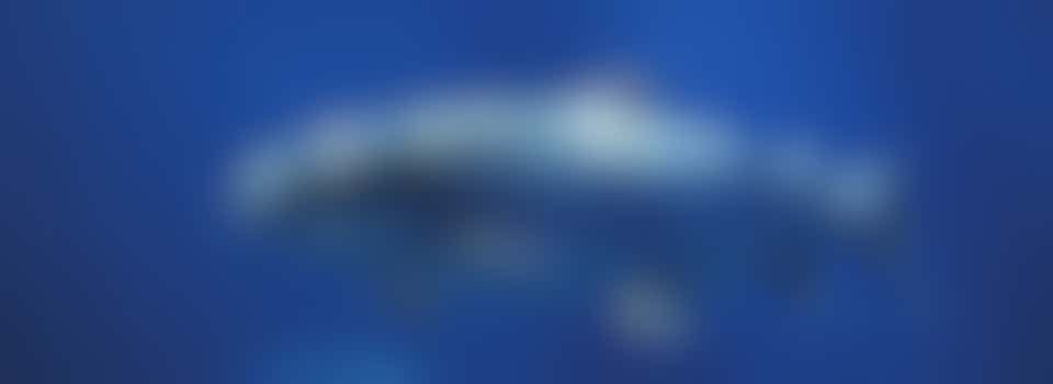 Researcher vissencampagne