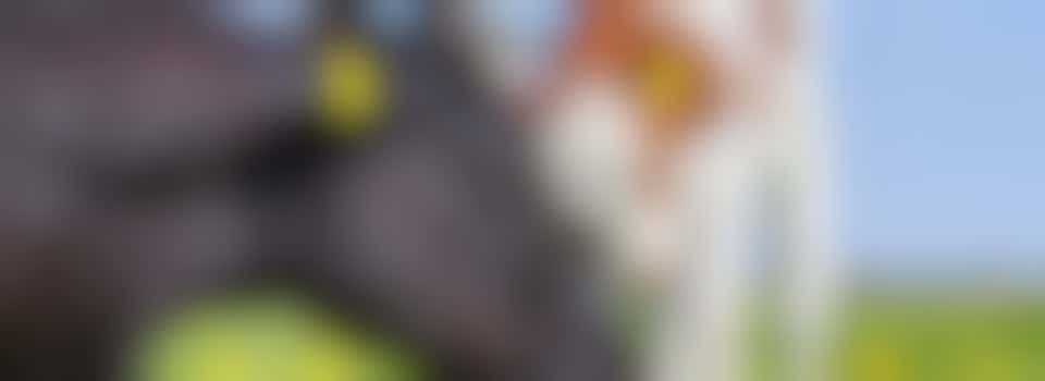 Campagnemedewerker anti-zuivelcampagne