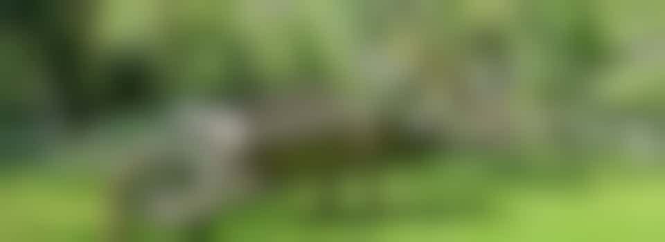 Deel jouw mooie passie voor tuinieren met onze verstandelijk beperkte bewoners!