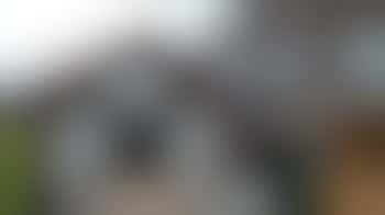 Voorzitter Stichting Buurtkamer De Kastanje