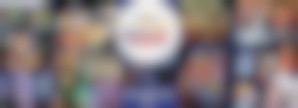 Carnival Marshalling