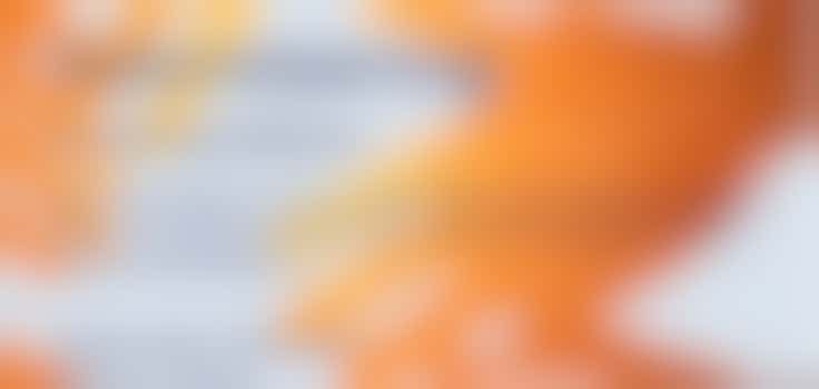 Webinar: Volunteering as a Gateway to Employment