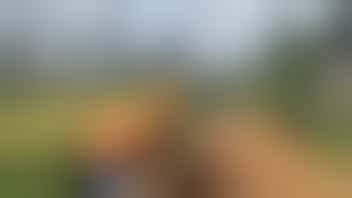 The people of energy consultancy agency Klimaatroute working for Amstergaard