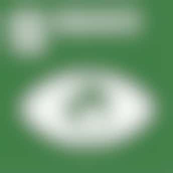 SDG 13: Klimaatactie