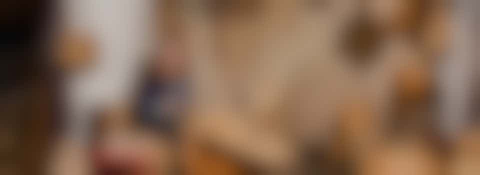 Vrijwilliger Mandenmakerij