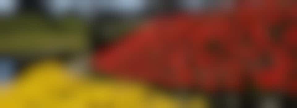 Vrijwilliger tuin- en groenvoorziening