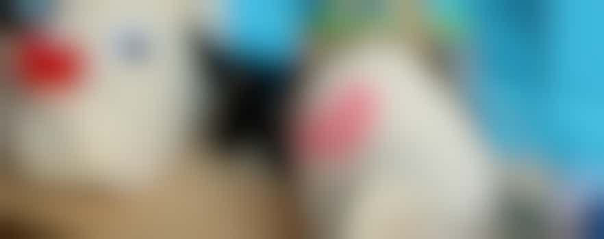 Vrijwilliger Creatief Atelier