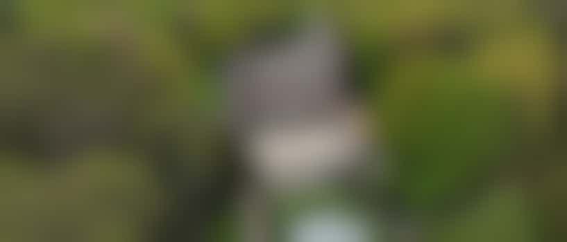 Trees for the Future