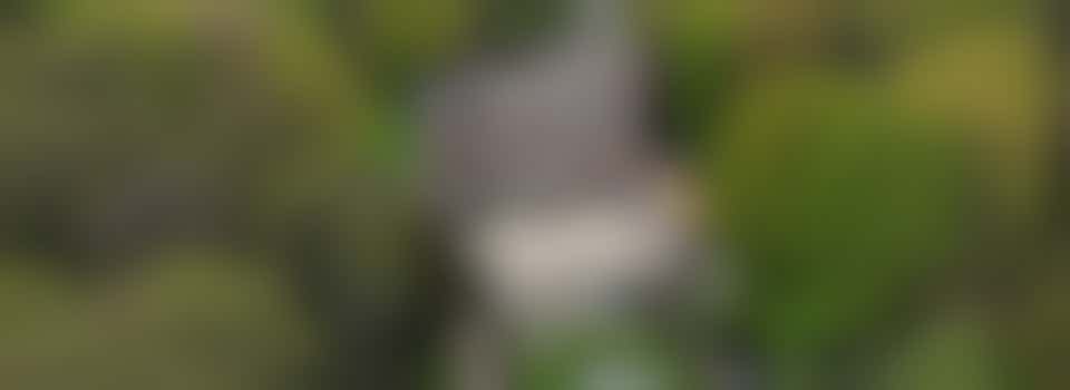 Give future generations a green vote