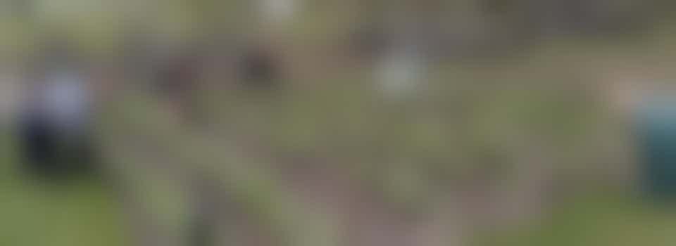 The Vegetable Garden Improvers: Help the Social Vegetable Garden Sliedrecht grow