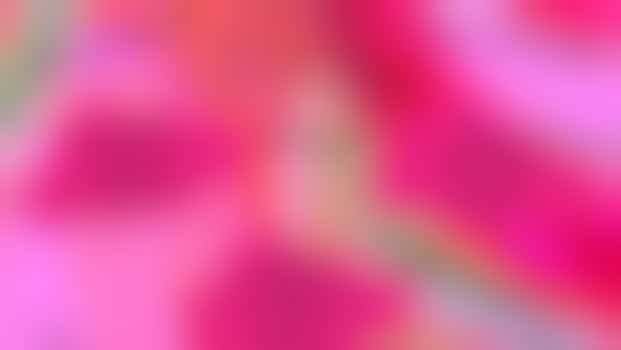 Wijkfestival vrijwilliger gezocht!