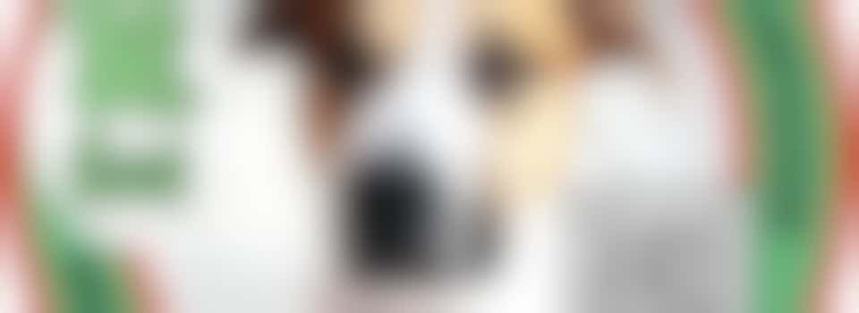 VOLUNTEERS NEEDED FOR FREE STERILIZATION CAMPAIGN