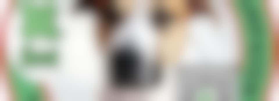 Spay & Neuter Campaign- May 2024